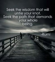 seek